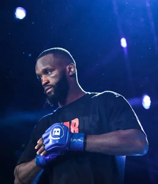MMA article image