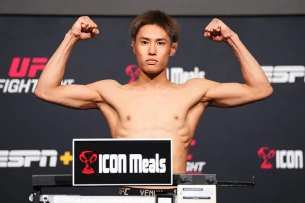 MMA article image