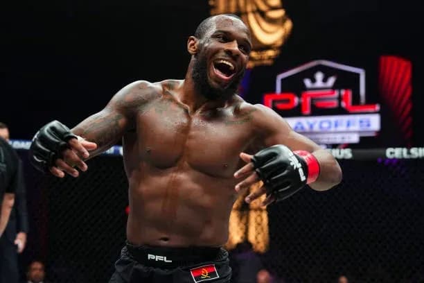 MMA article image