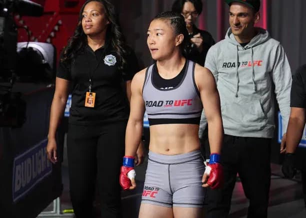 MMA article image