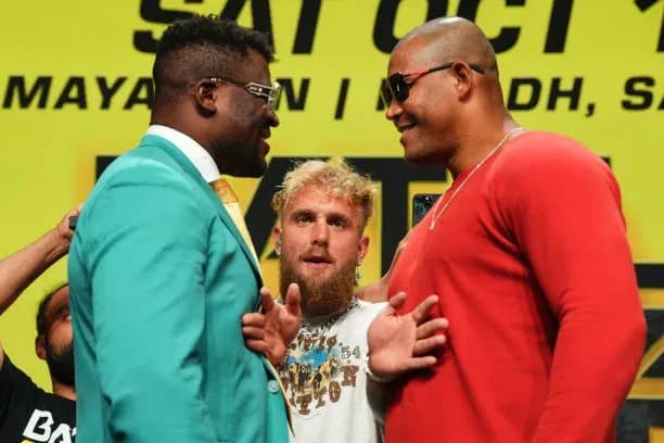 MMA article image