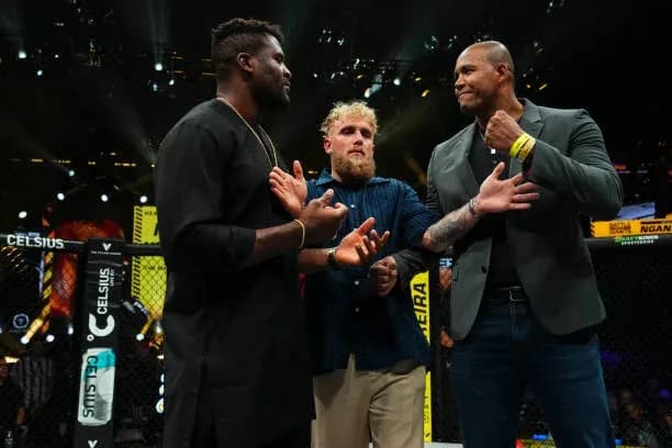 MMA article image