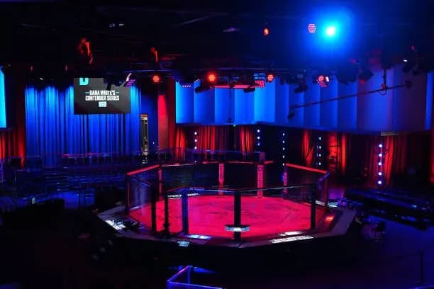 MMA article image