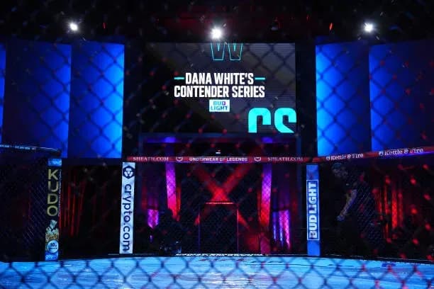MMA article image