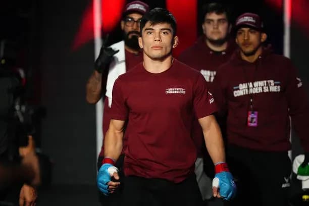 MMA article image