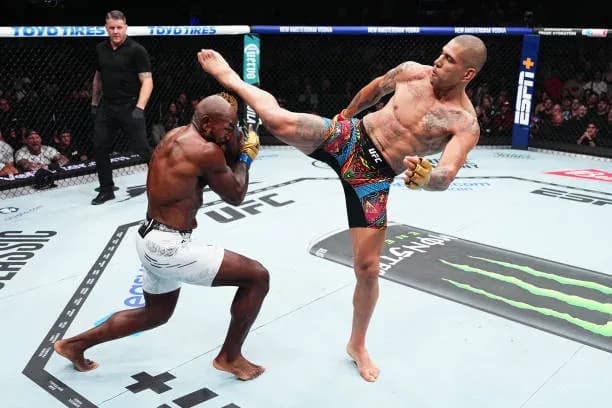 MMA article image
