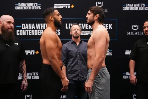 MMA article image