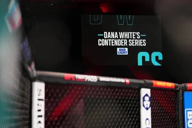 MMA article image