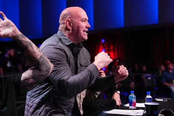 MMA article image