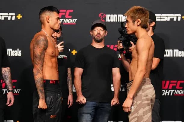MMA article image