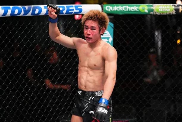 MMA article image