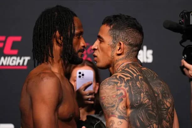 MMA article image
