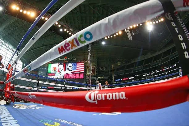 MMA article image