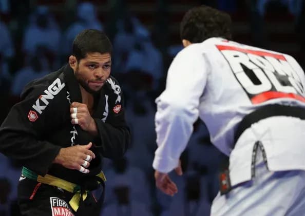 MMA article image