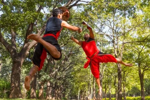 India Martial Arts