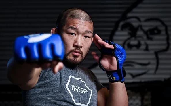 MMA article image