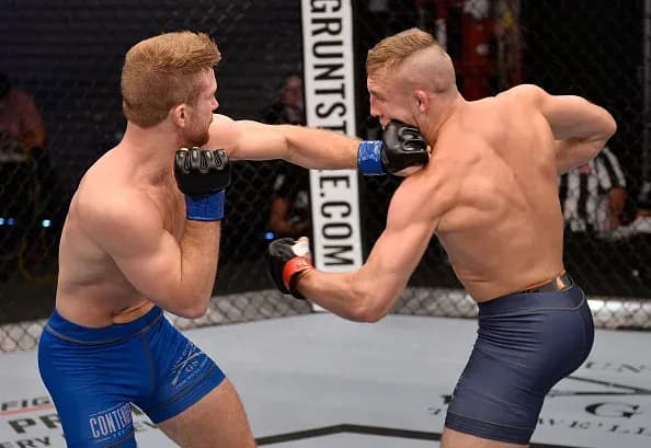 MMA article image