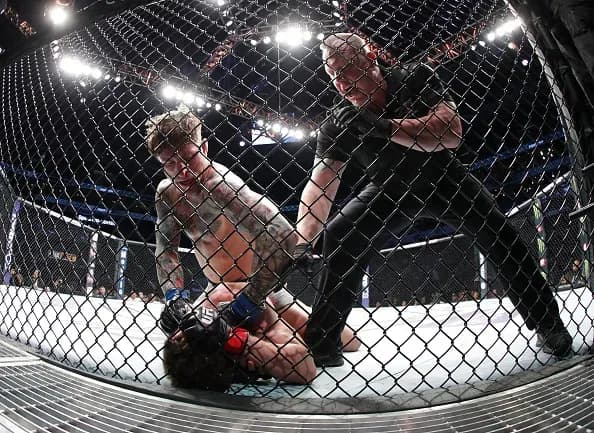 MMA article image