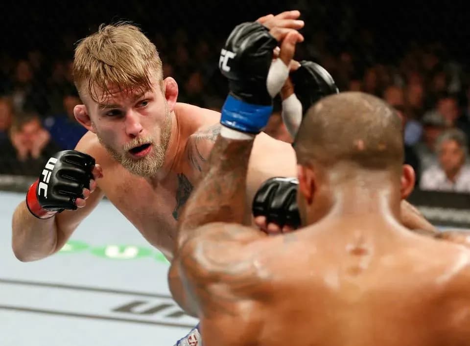 MMA article image