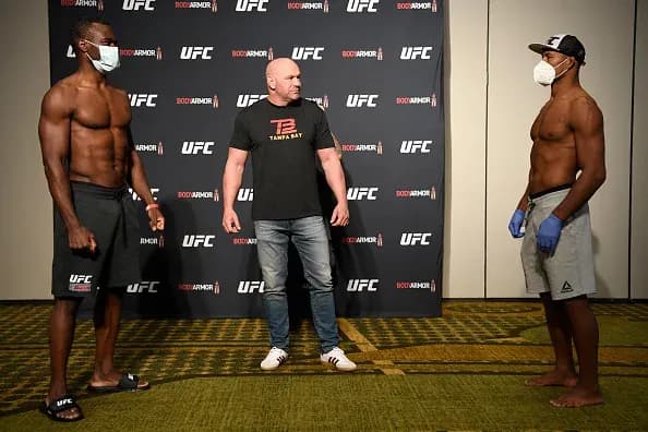 MMA article image