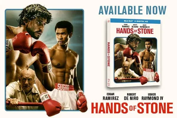 MMA article image