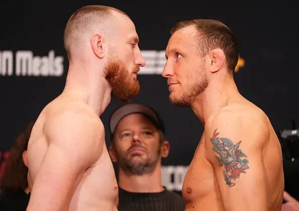 MMA article image