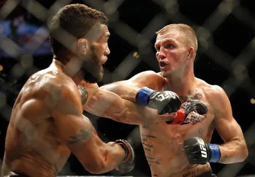 MMA article image