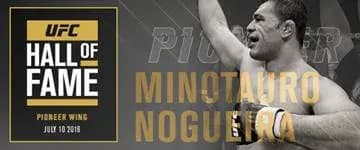 MMA article image