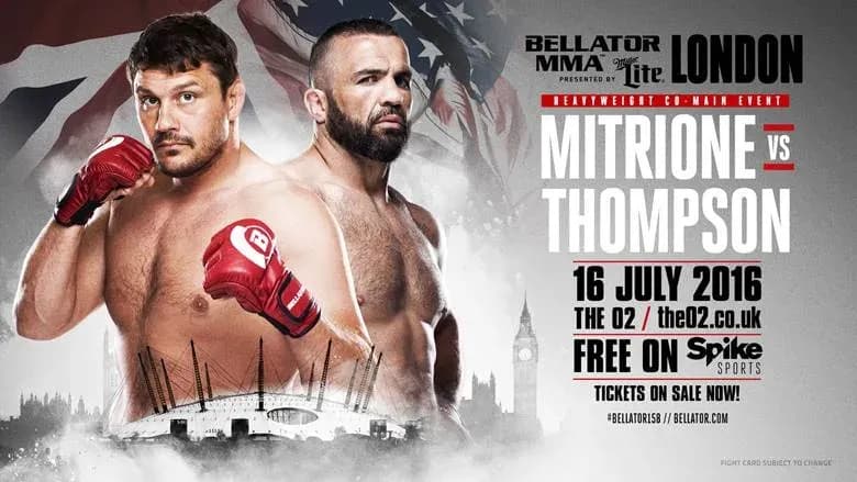 MMA article image