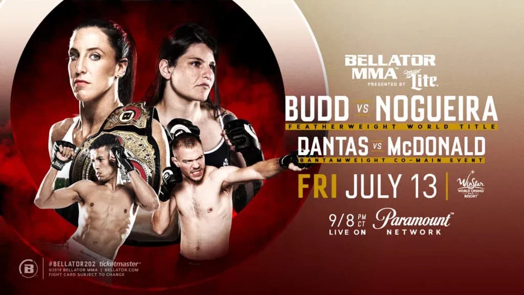 MMA article image