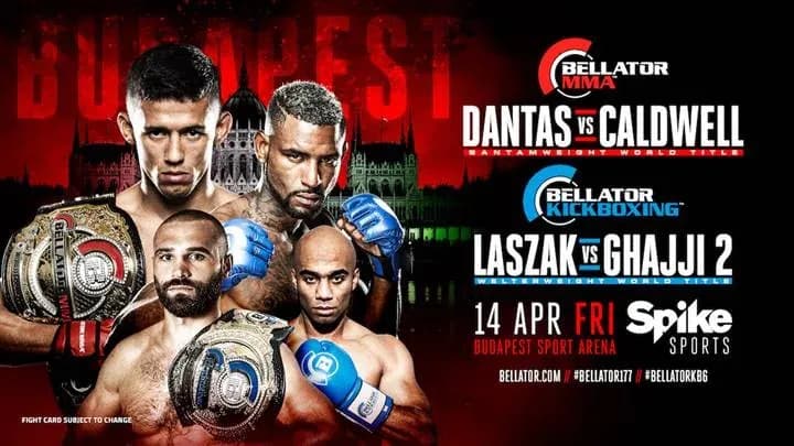 MMA article image