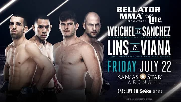MMA article image