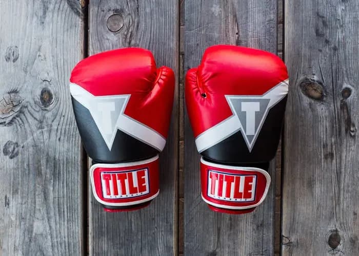 MMA article image