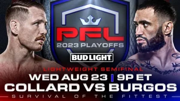 MMA article image