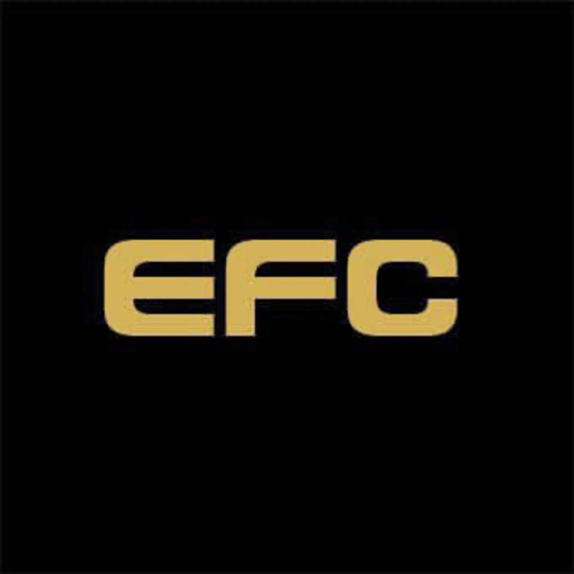 Extreme Fighting Championship (EFC) logo