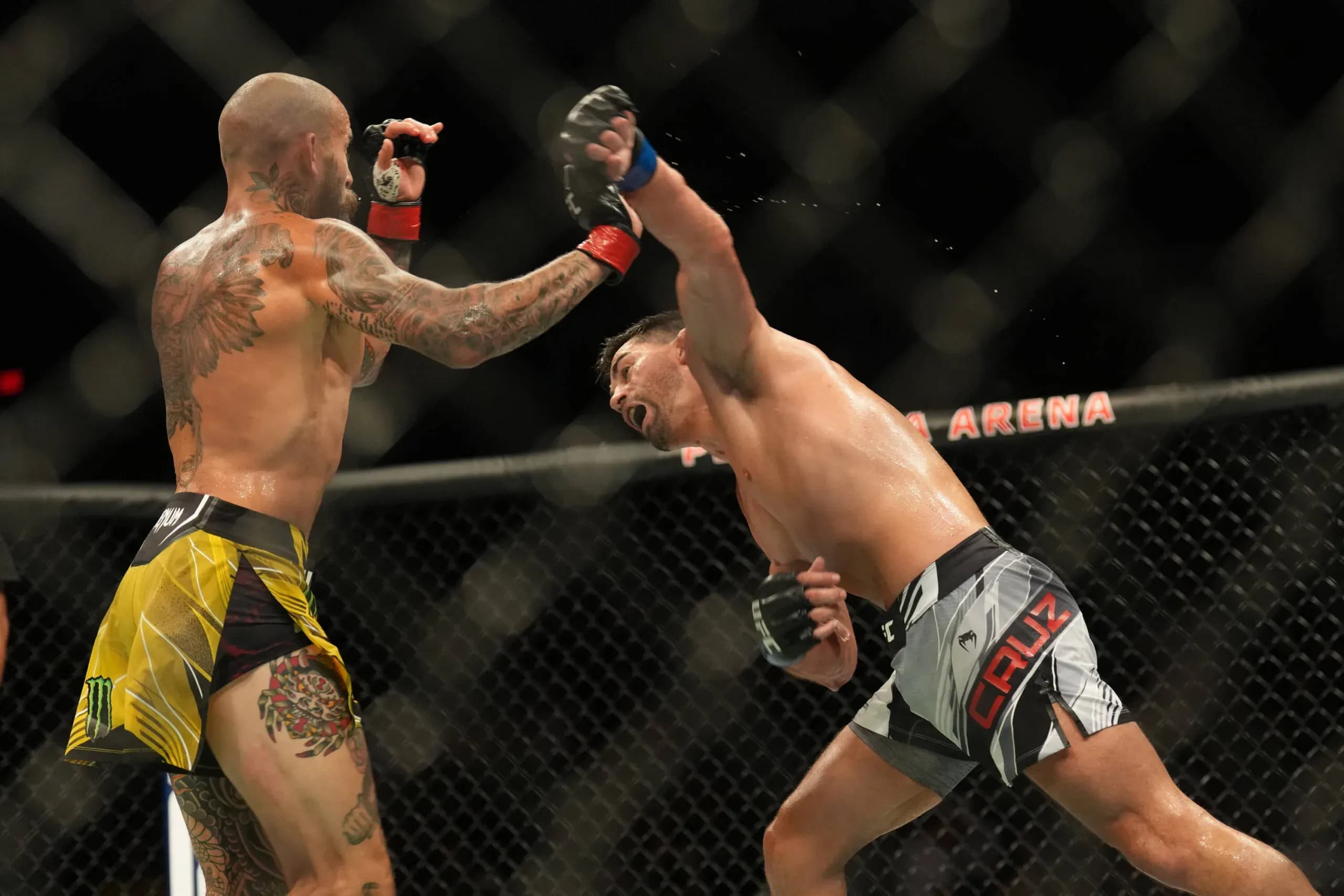 UFC Mexico's Marlon Vera.