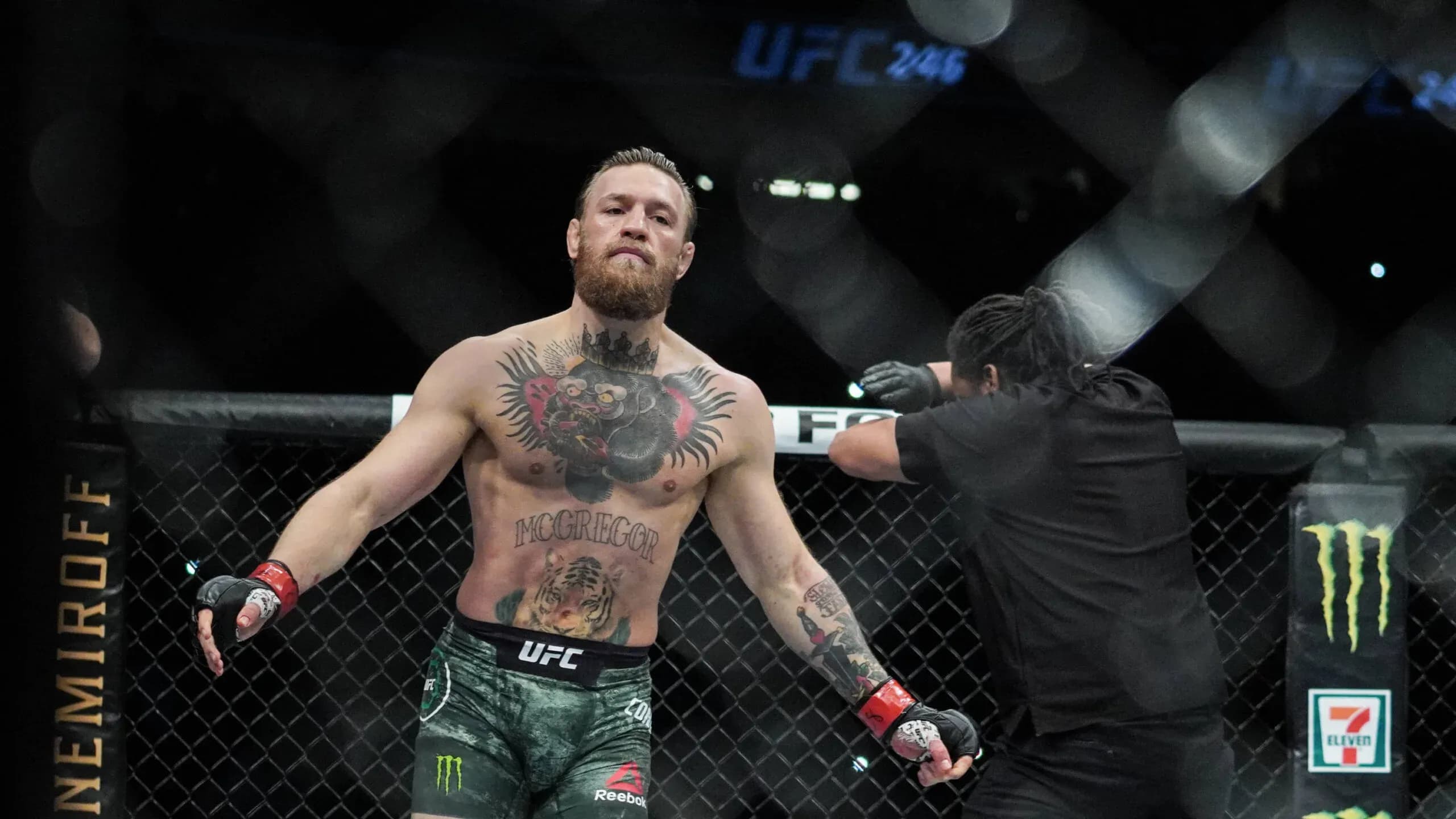 Conor McGregor at UFC 246