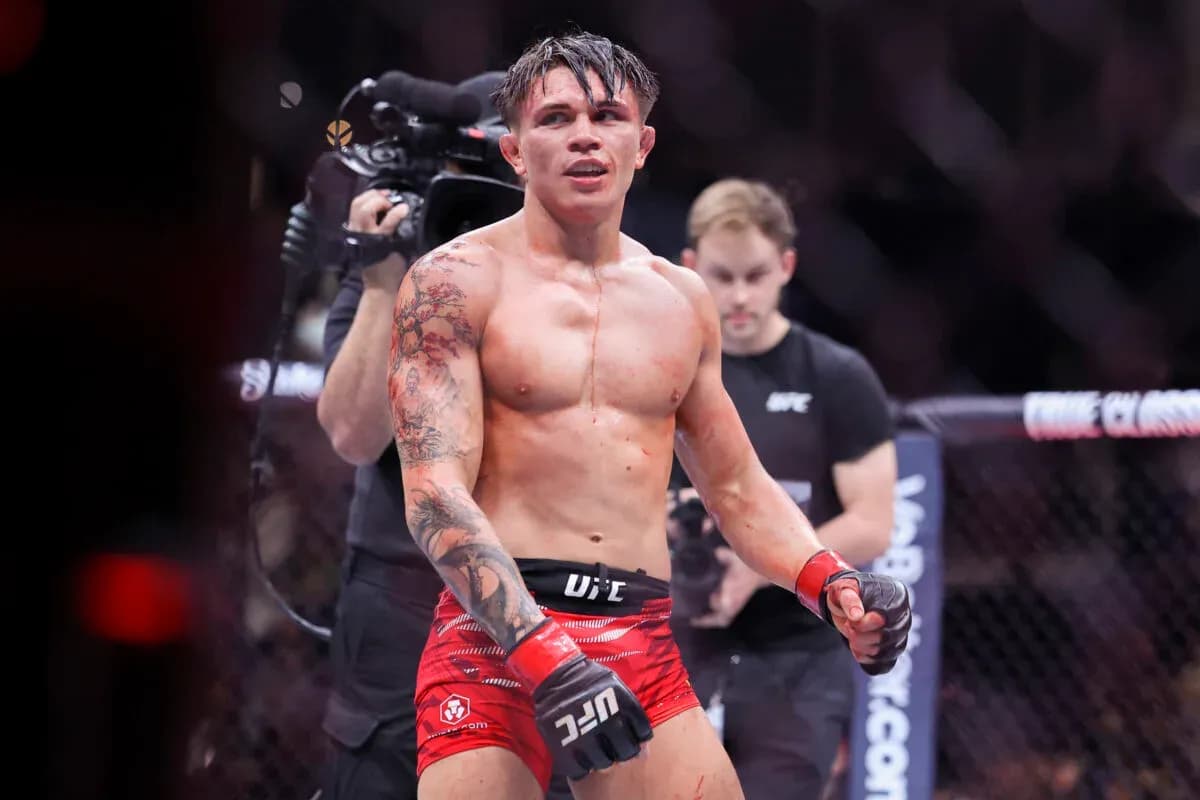 MMA article image
