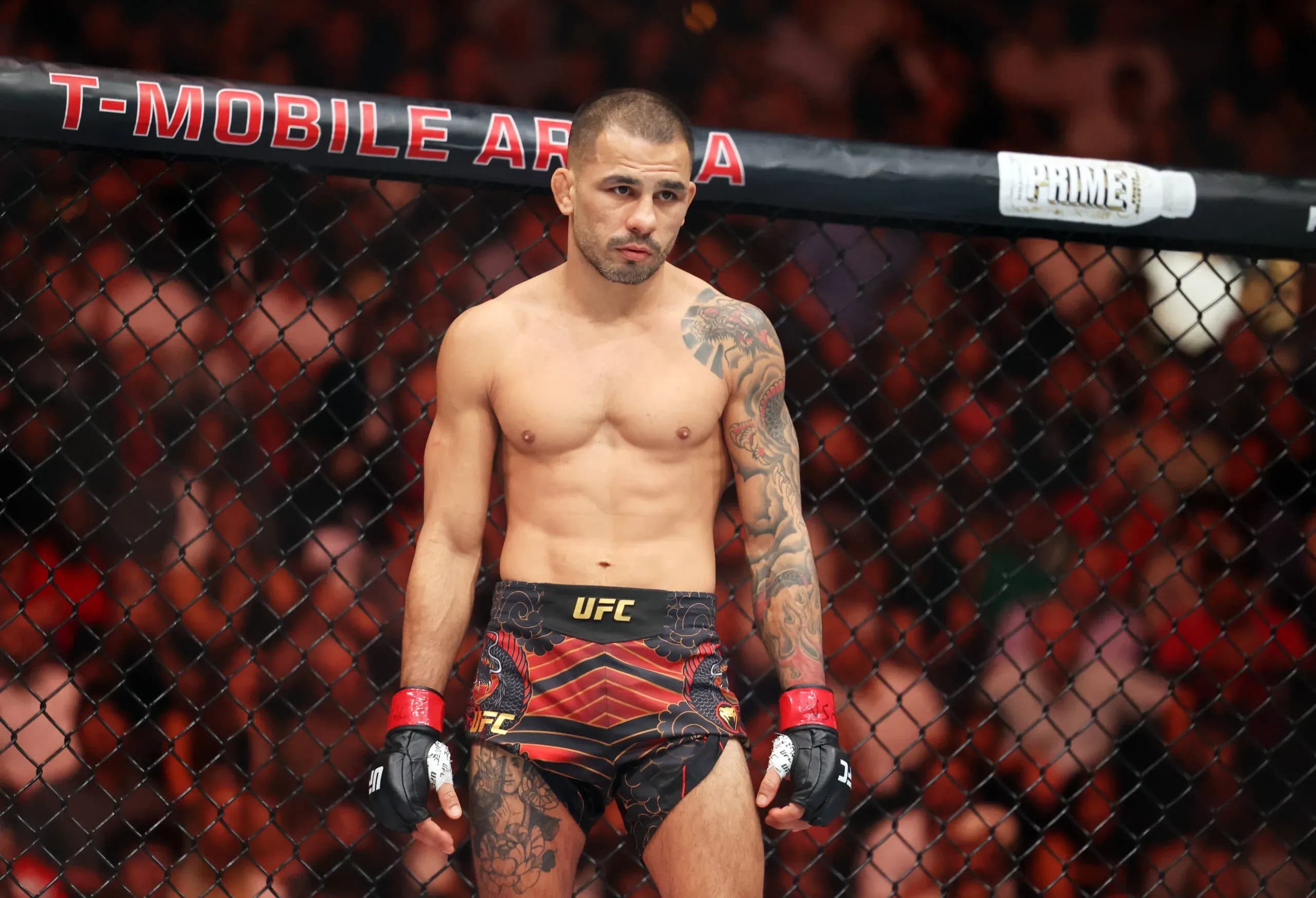 UFC 323's Alexandre Pantoja.