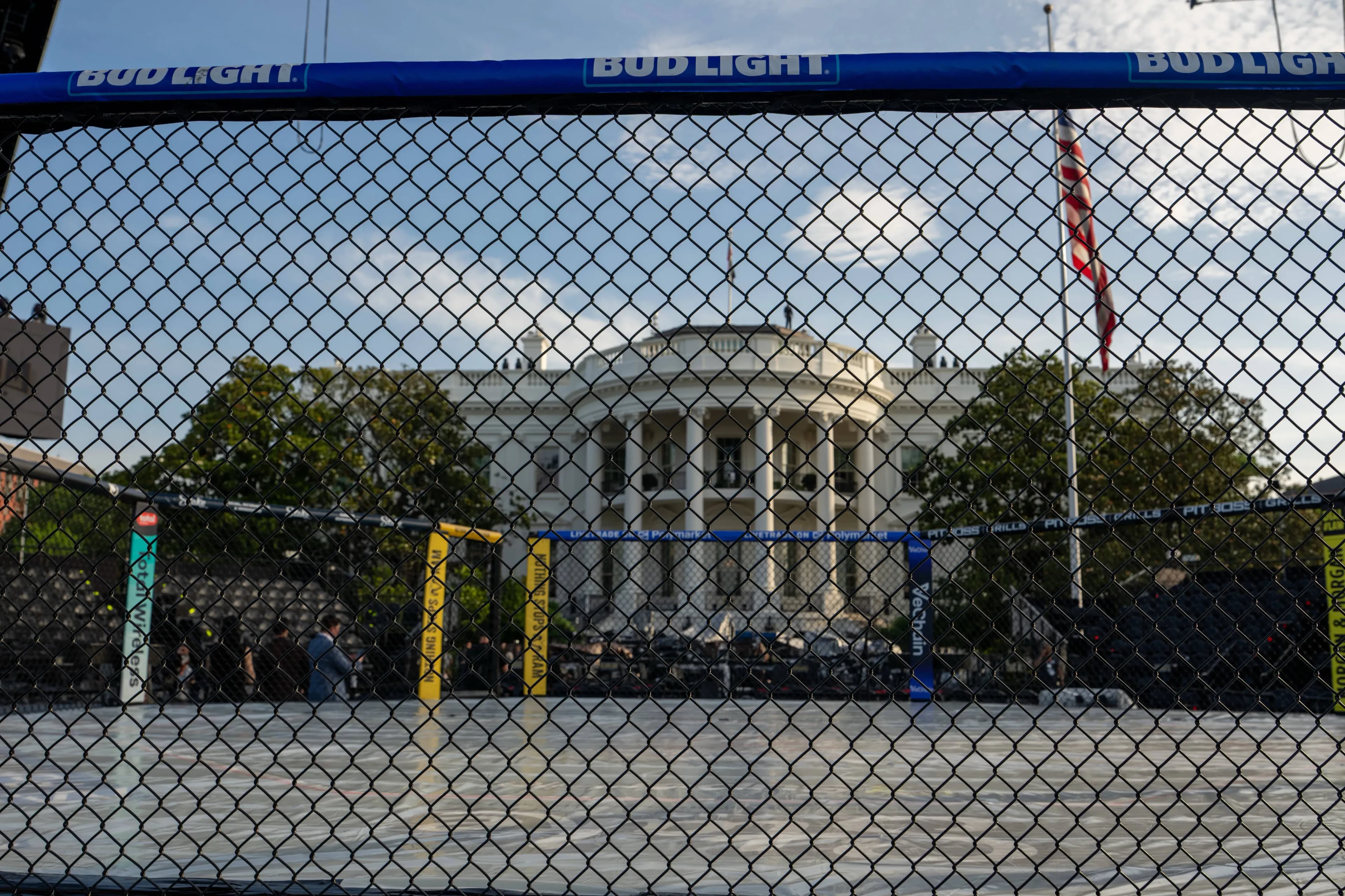 UFC Freedom 250