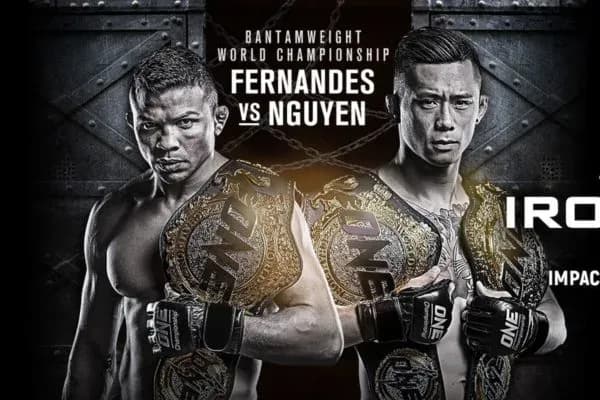 MMA article image