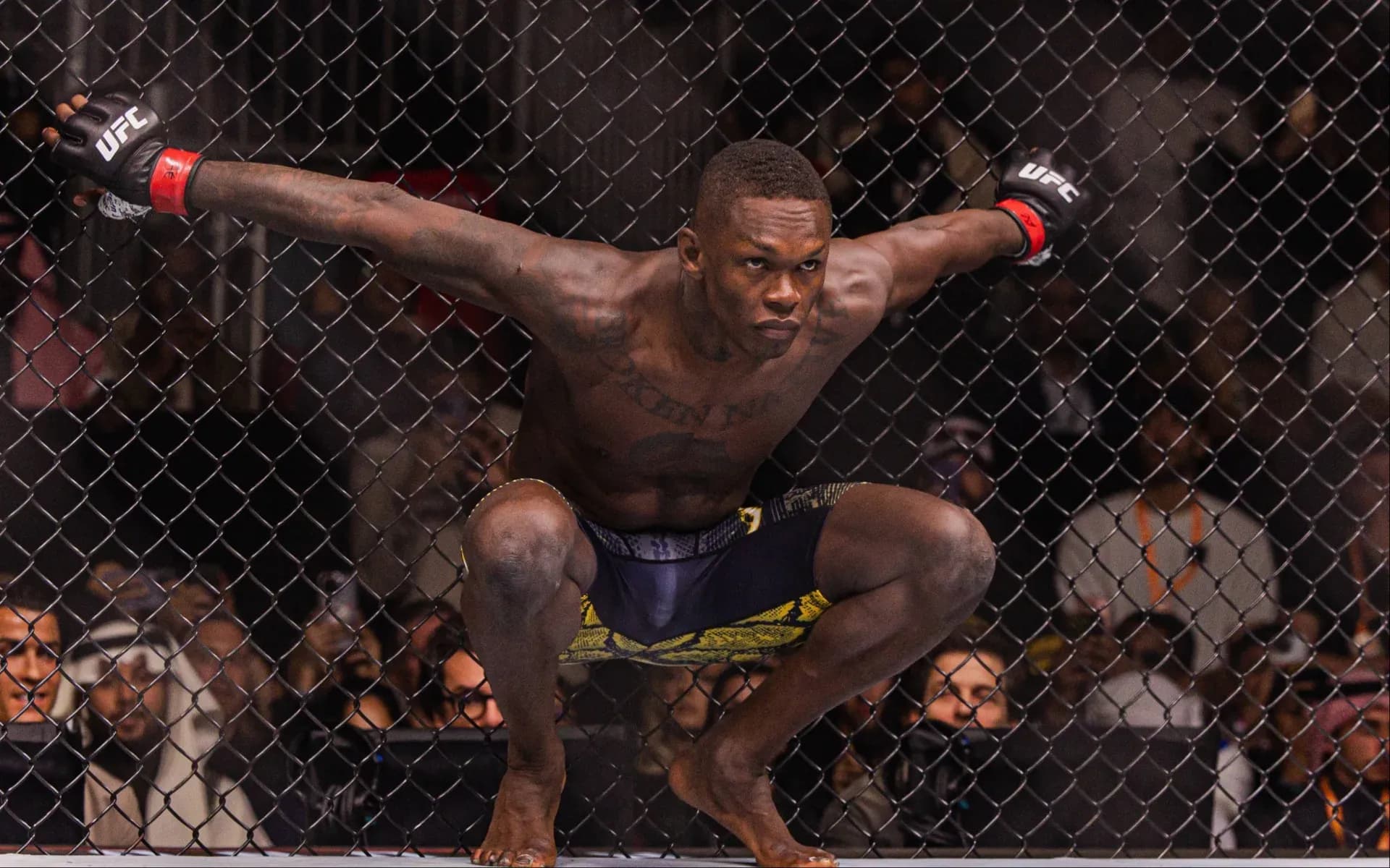 israel-adesanya