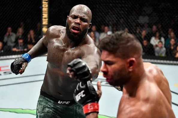 MMA article image