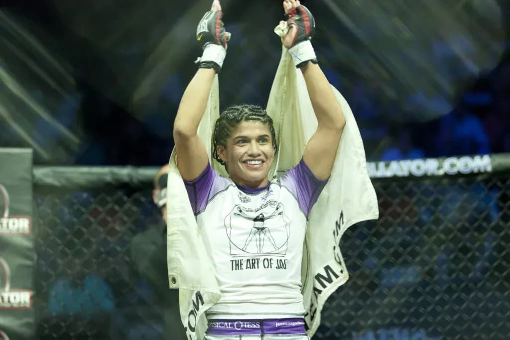 MMA article image