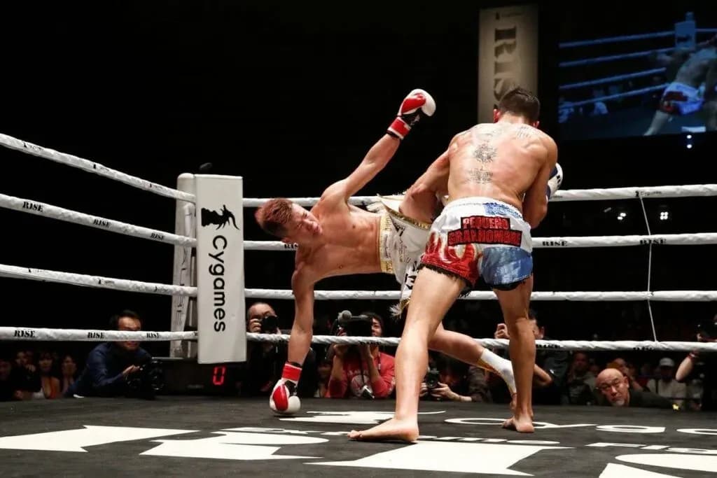 MMA article image