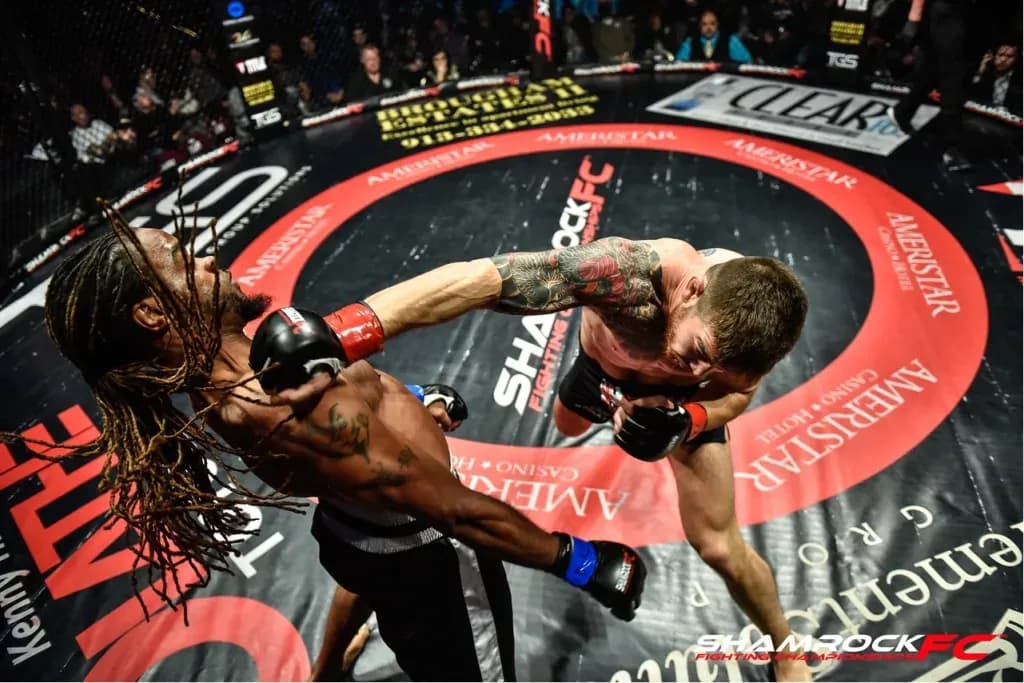 MMA article image