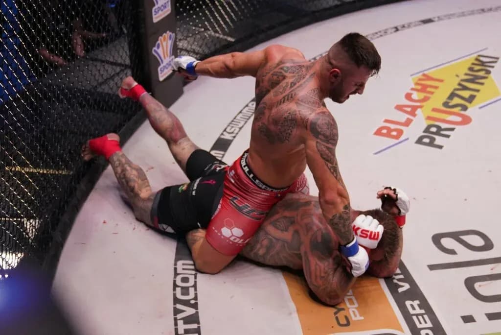 MMA article image