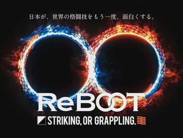 MMA article image