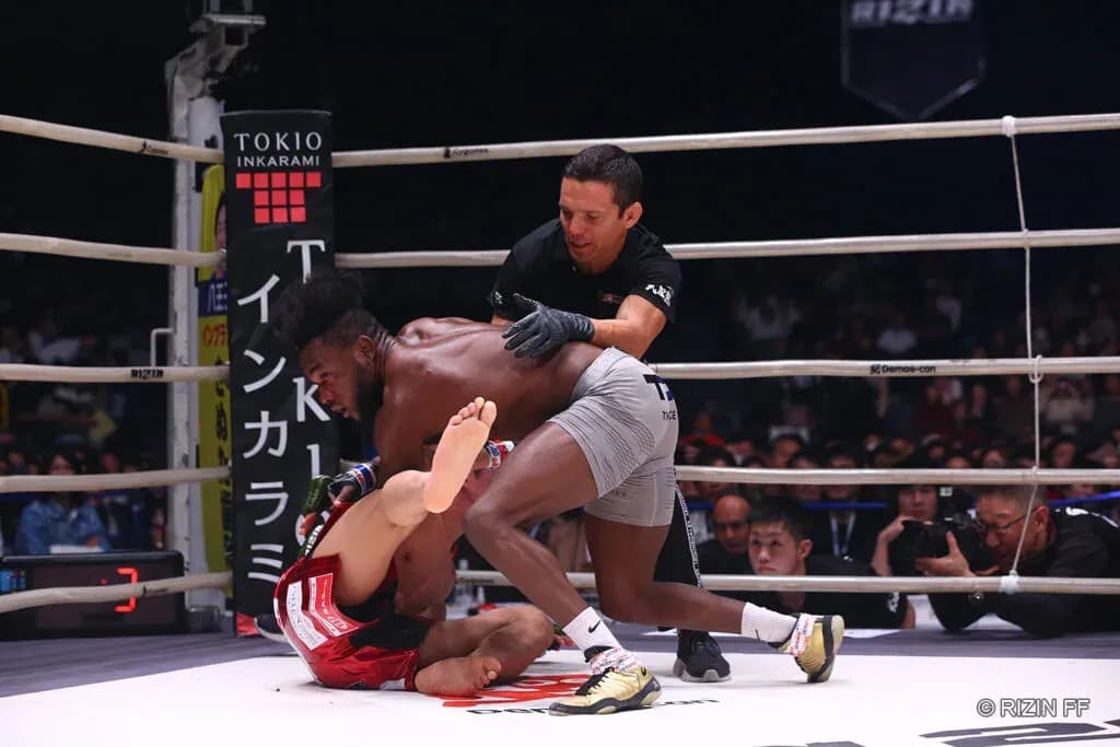 MMA article image