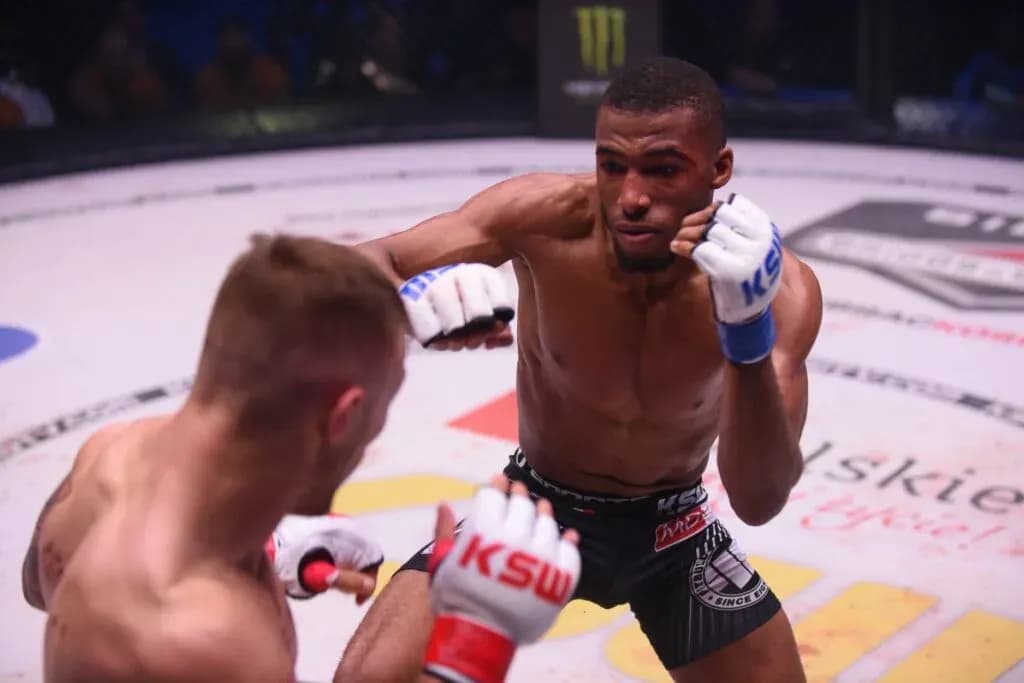 KSW 48